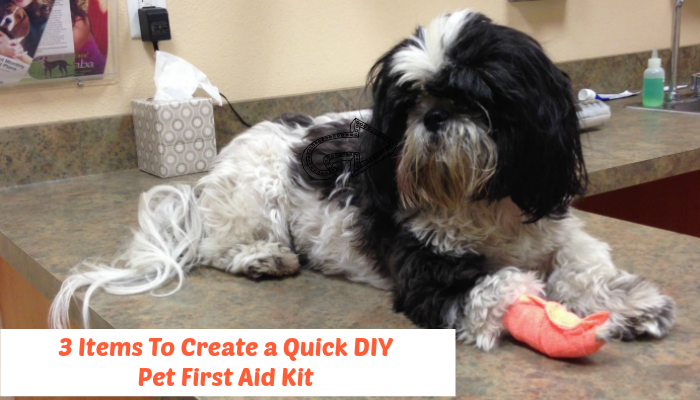 Photo inspiration: Gallery Detail: 3 Items To Create A Quick DIY Pet First Aid