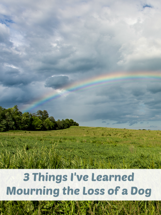 Pet Loss - Rainbow over green field