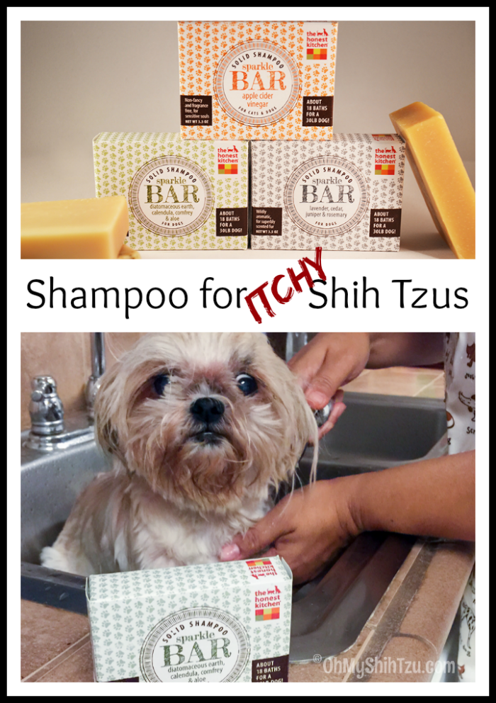 Shih Tzu Shampoo
