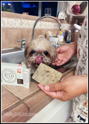 shih tzu shampoo