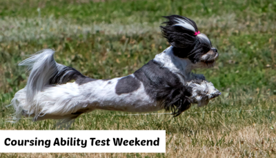 Coursing Ability Test
