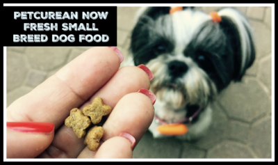 Petcurean Bag of Small Breed Dog Food