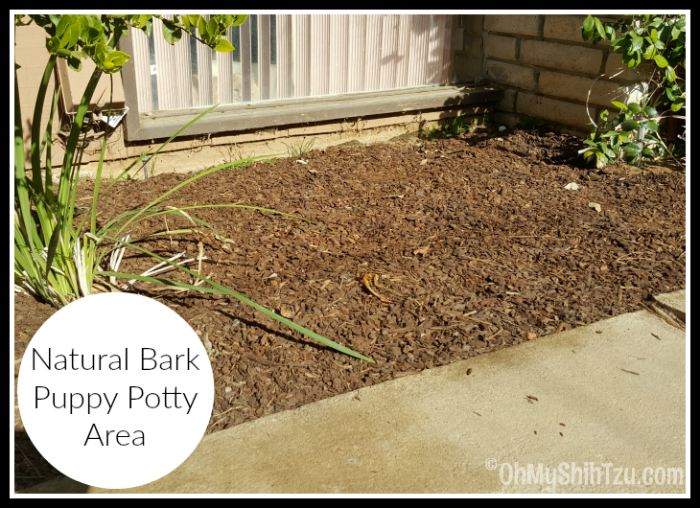 Nesting Instinct, Puppy Potty area