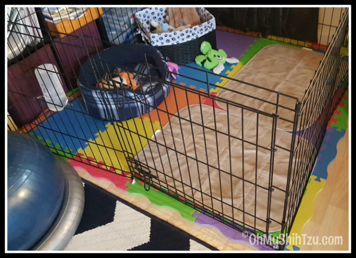 Shih clearance tzu playpen