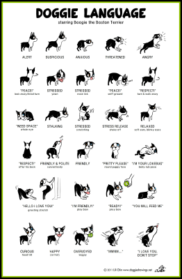 Puppy Introductions, Dog Body Language Chart by Lili Chin