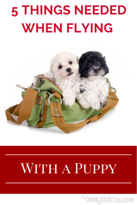 Flying with a Puppy, Puppies in a duffle bag