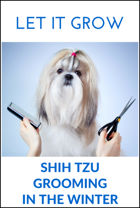 how do you groom a shih tzu face