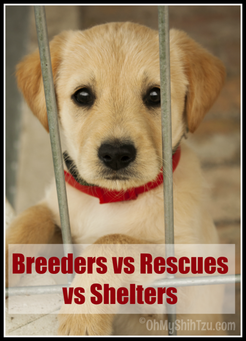 Dog Breeders