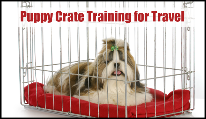 Puppy Crate Training Featured Image