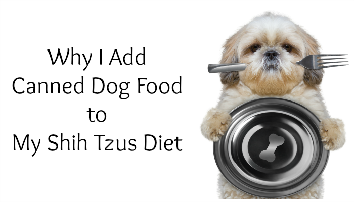 Why I Add Canned Dog Food  #PetcureanLove