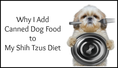 Canned Dog Food, Shih Tzu holding bowl