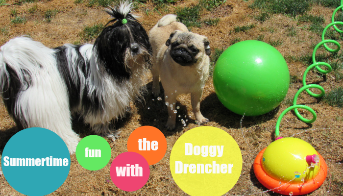 Summertime Fun with the Doggy Drencher