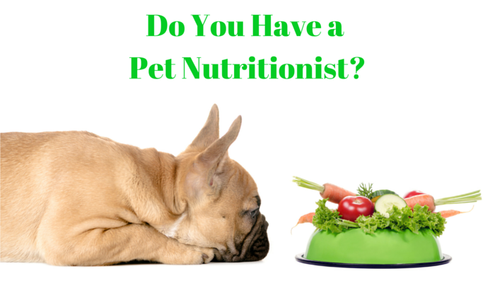 Meet the Pet Nutritionist