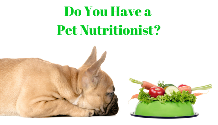 Pet Nutritionist